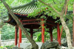 大觉寺：园林式的风景寺院