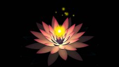 佛教中的莲花是什么意思？