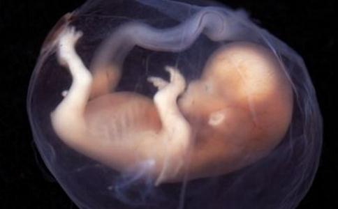 神奇的胎教：胎儿竟能与母亲心灵交流