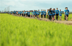 马来西亚稻田中奔向和谐 2000人参与佛光山义跑