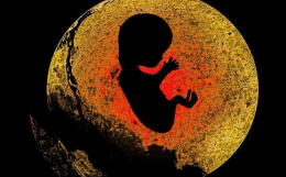 如何对待堕胎婴灵？要忏悔啊！