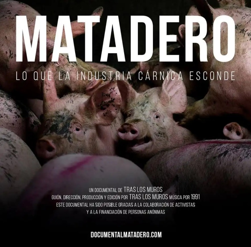 【纪录片】屠宰场：肉类产业的隐秘真相,亲临地球上最隐蔽最痛苦的深渊