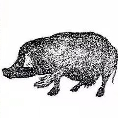 1923年上海发生一起 ＂人畜轮回转世为猪＂真实事件