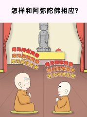 佛教漫画：怎样和阿弥陀佛相应