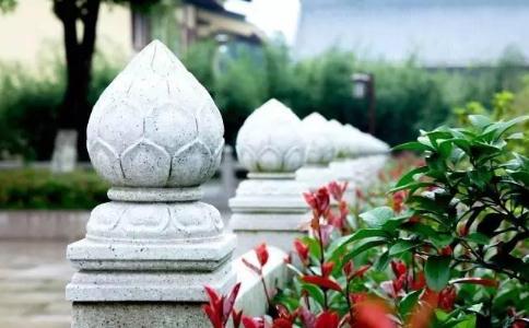 发愿吃素难改业习偷吃腥 念佛化解大肠癌所受苦难 发愿吃素难改业习偷吃腥 念佛化解大肠癌所受苦难