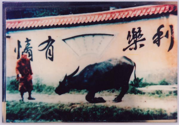 您能认得出那是谁的肉?