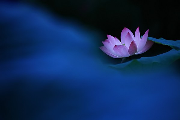 人们应该怎样面对挫折