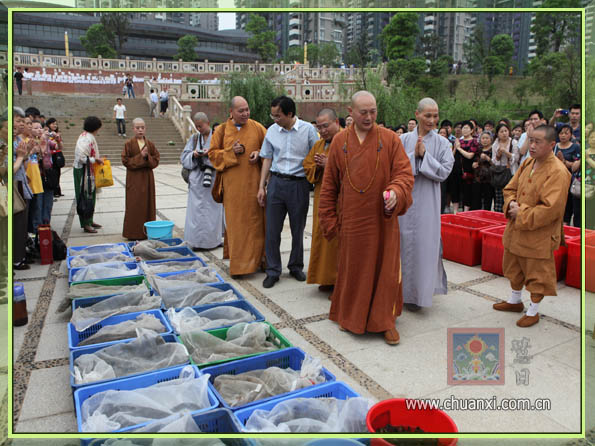 传喜法师:放弃杀生,积极放生