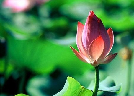 佛学与医学的关系