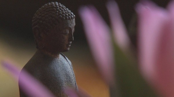 佛法对治八种通病