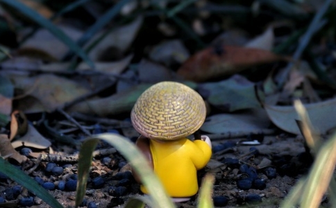 传正法师:认真忏悔,多种善因,将已种的恶因果报缩到最小 传正法师:认真忏悔,多种善因,将已种的恶因果报缩到最小