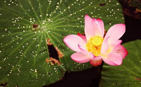 洁癖、体臭、妇科病,都是魄脏了的缘故 洁癖、体臭、妇科病,都是魄脏了的缘故