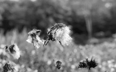 慧律法师:梦到男女在行淫要怎么办?如何忏悔? 慧律法师:梦到男女在行淫要怎么办?如何忏悔?