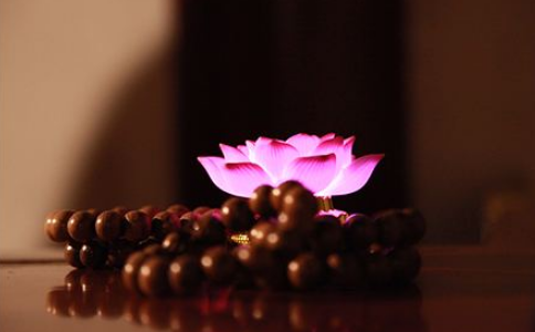 堕胎的恶报,念佛中重生 堕胎的恶报,念佛中重生