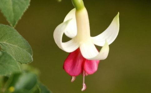 我的淫欲心的忏悔 我的淫欲心的忏悔