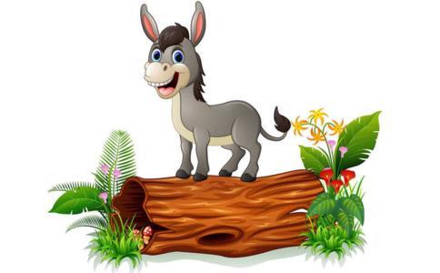 愚人守门的故事 愚人守门的故事