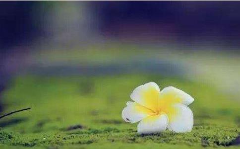 行善贵在随缘布施,救命要救急 行善贵在随缘布施,救命要救急