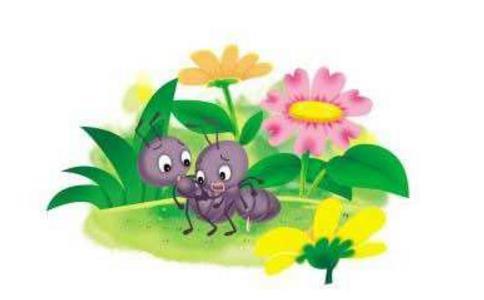 两只蚂蚁爬向自由的故事 两只蚂蚁爬向自由的故事