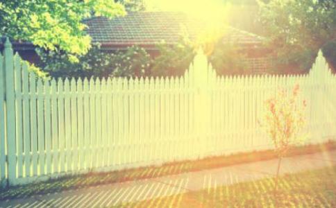 禅师与成名作家的对话 禅师与成名作家的对话