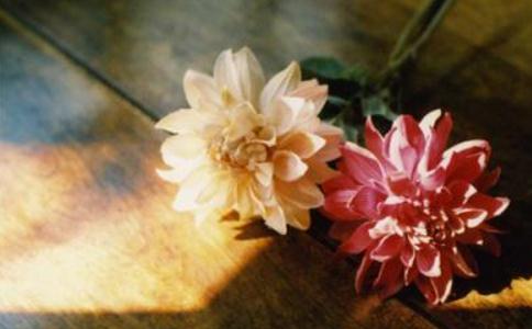 佛法即活法:人间四事不能久长 佛法即活法:人间四事不能久长