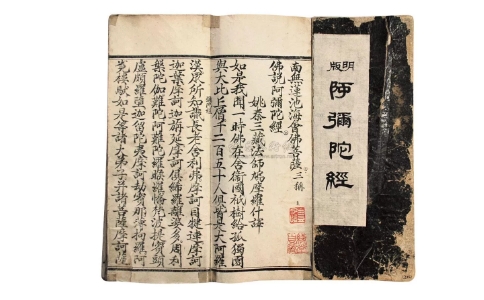 智随法师:《阿弥陀经》是最为普及的一部经典 智随法师:《阿弥陀经》是最为普及的一部经典