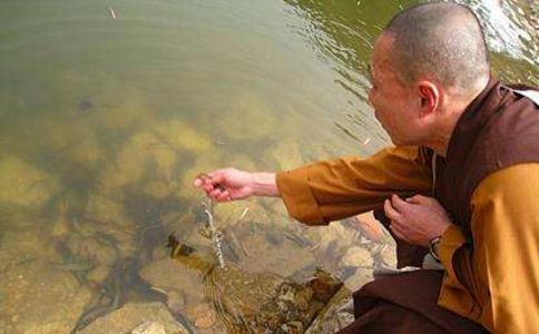 放生时可以只念六字大明咒吗? 放生时可以只念六字大明咒吗?