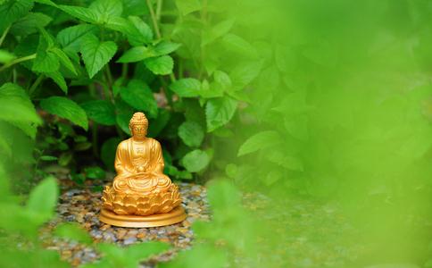 持诵《大悲咒》九年内的神奇经历 持诵《大悲咒》九年内的神奇经历