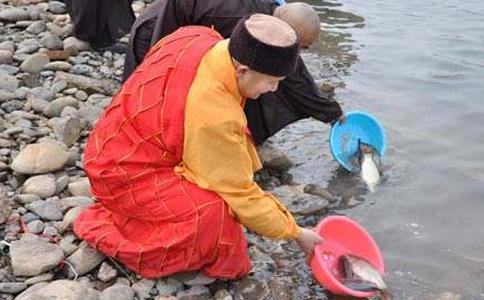 放生前应知此理,让放生功德更圆满 放生前应知此理,让放生功德更圆满