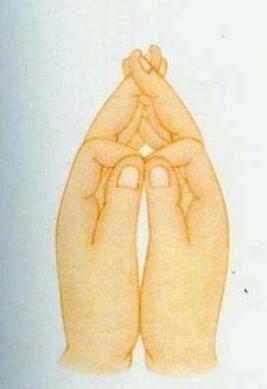 灭定业咒手印 灭定业咒手印