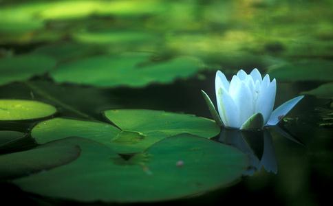 知之一字,众妙之门。又讲是众祸之门。该如何理解? 知之一字,众妙之门。又讲是众祸之门。该如何理解?