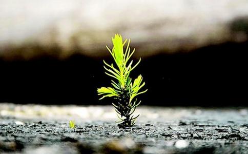 在舒适顺意的境界有什么可修的? 在舒适顺意的境界有什么可修的?