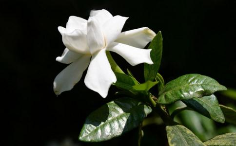 佛门高僧劝人戒淫 佛门高僧劝人戒淫