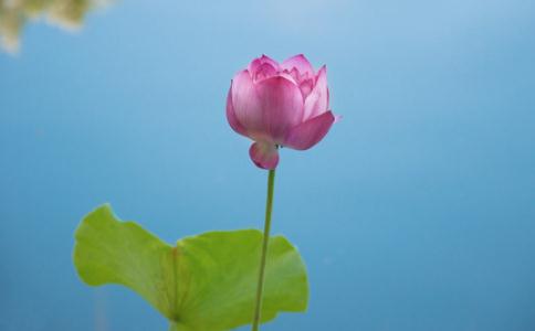 圆满之心照出自性灵光 要的是内心自然生法喜 圆满之心照出自性灵光 要的是内心自然生法喜