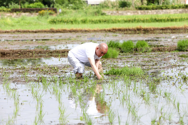 2020年度圣辉大和尚带领湖南佛学院学生到长沙金井九溪古寺插秧体验农禅并重 (12).JPG
