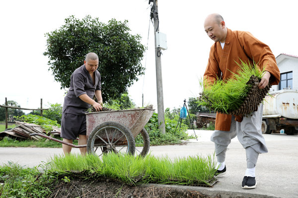 2020年度圣辉大和尚带领湖南佛学院学生到长沙金井九溪古寺插秧体验农禅并重 (2).JPG