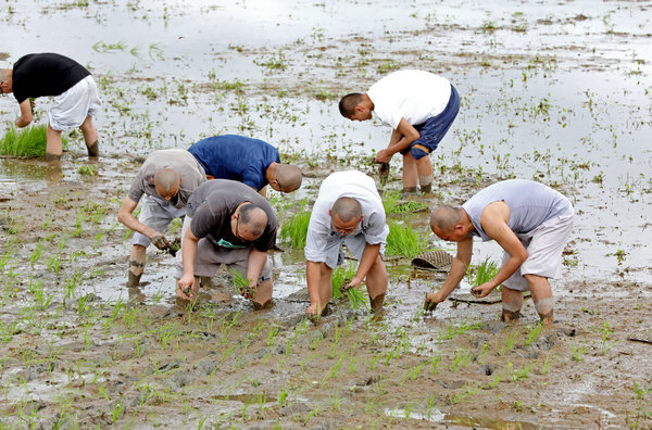 2020年度圣辉大和尚带领湖南佛学院学生到长沙金井九溪古寺插秧体验农禅并重 (20).JPG