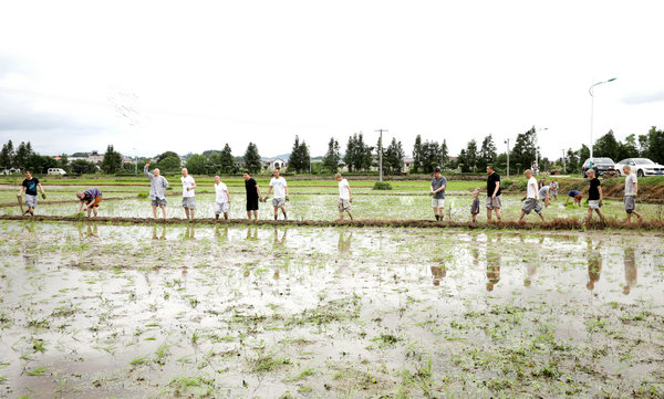 2020年度圣辉大和尚带领湖南佛学院学生到长沙金井九溪古寺插秧体验农禅并重 (5).JPG