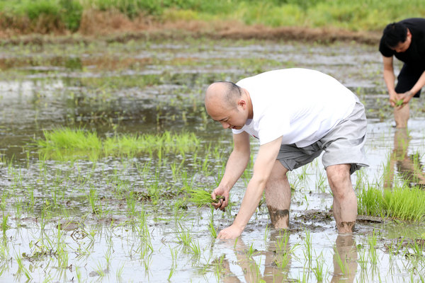 2020年度圣辉大和尚带领湖南佛学院学生到长沙金井九溪古寺插秧体验农禅并重 (23).JPG