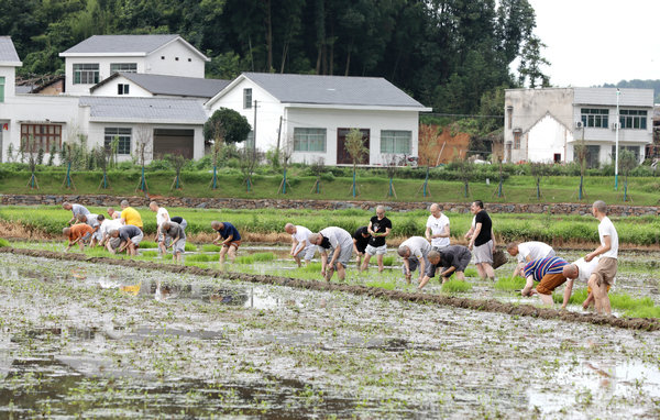2020年度圣辉大和尚带领湖南佛学院学生到长沙金井九溪古寺插秧体验农禅并重 (8).JPG