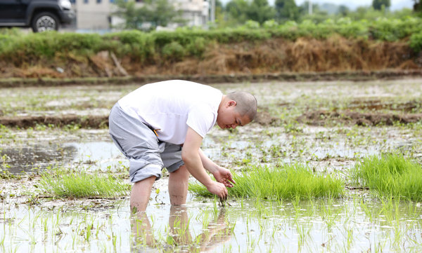 2020年度圣辉大和尚带领湖南佛学院学生到长沙金井九溪古寺插秧体验农禅并重 (19).JPG