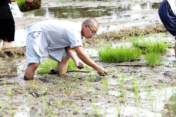 2020年度圣辉大和尚带领湖南佛学院学生到长沙金井九溪古寺插秧体验农禅并重 (16).JPG