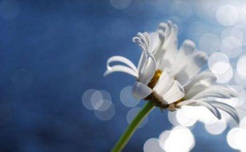 禅宗是怎样了生死的呢? 禅宗是怎样了生死的呢?