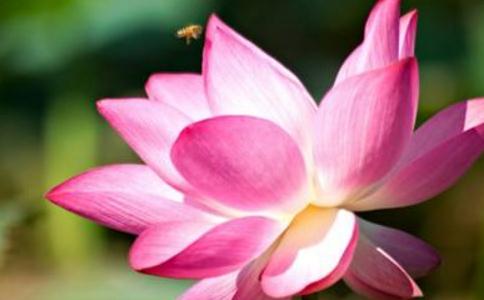 怎么才能变得越来越顺?