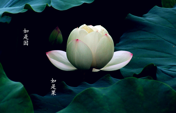 1-130FQ023021K_副本.jpg