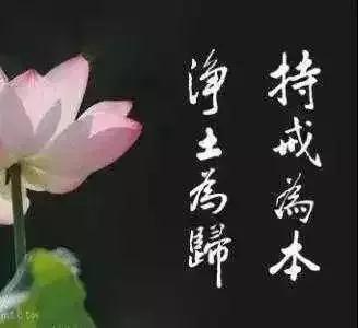 微信图片_20200119233724.jpg