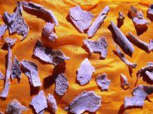 隆莲法师骨舍利 隆莲法师骨舍利