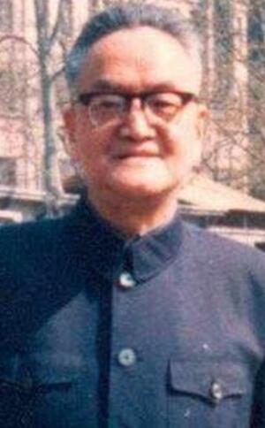 陈海量居士 陈海量居士