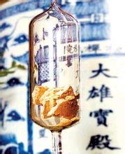 玄奘大师顶骨 玄奘大师顶骨