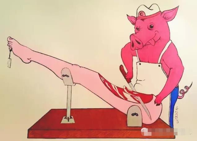 猪在分割人类的腿