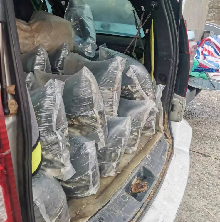 车上装载的鱼苗